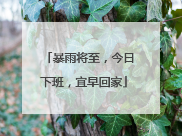 暴雨将至，今日下班，宜早回家