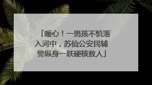 暖心！一男孩不慎落入河中，苏仙公安民辅警纵身一跃硬核救人