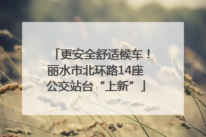 更安全舒适候车！丽水市北环路14座公交站台“上新”