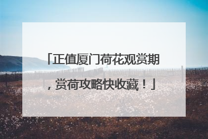 正值厦门荷花观赏期，赏荷攻略快收藏！