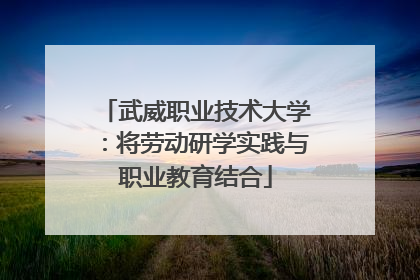 武威职业技术大学：将劳动研学实践与职业教育结合