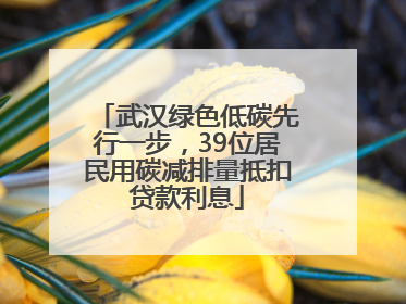 武汉绿色低碳先行一步，39位居民用碳减排量抵扣贷款利息