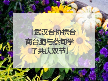 武汉台协携台商台胞与蔡甸学子共庆双节