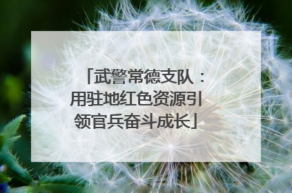 武警常德支队：用驻地红色资源引领官兵奋斗成长