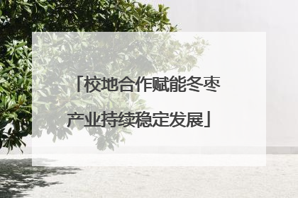 校地合作赋能冬枣产业持续稳定发展