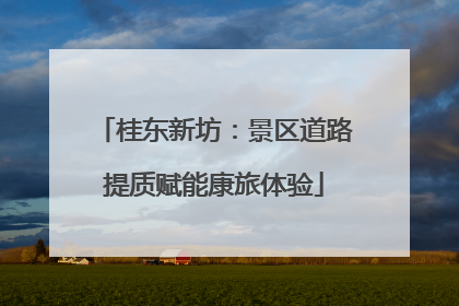 桂东新坊：景区道路提质赋能康旅体验