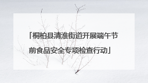 桐柏县清淮街道开展端午节前食品安全专项检查行动