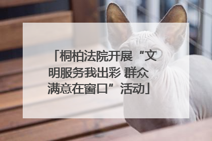 桐柏法院开展“文明服务我出彩 群众满意在窗口”活动
