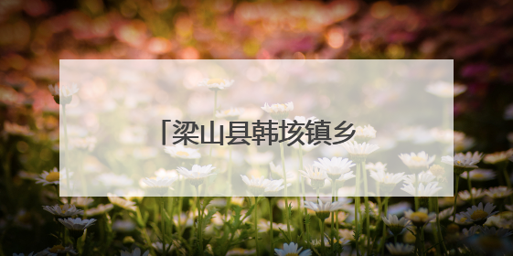 梁山县韩垓镇乡村物业解民忧