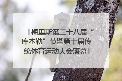梅里斯第三十八届“库木勒”节暨第十届传统体育运动大会落幕