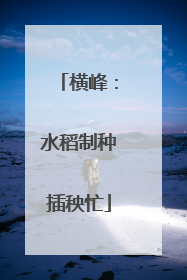 横峰：水稻制种插秧忙