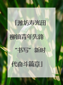 潍坊寿光田柳镇青年先锋“书写”新时代奋斗篇章