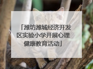 潍坊潍城经济开发区实验小学开展心理健康教育活动