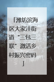 潍坊滨海区大家洼街道“三包三联”激活乡村振兴密码