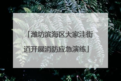 潍坊滨海区大家洼街道开展消防应急演练