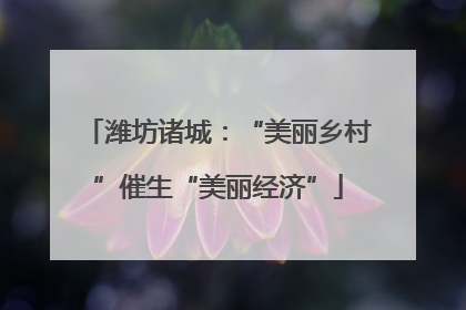 潍坊诸城：“美丽乡村”催生“美丽经济”