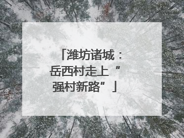 潍坊诸城：岳西村走上“强村新路”