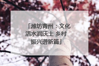 潍坊青州：文化活水润沃土 乡村振兴谱新篇