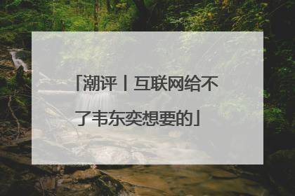 潮评丨互联网给不了韦东奕想要的