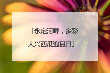 永定河畔，多彩大兴西瓜迎夏日
