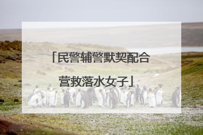 民警辅警默契配合 营救落水女子