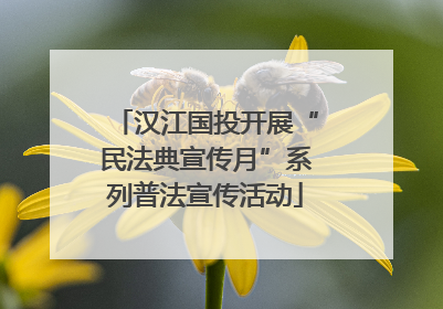 汉江国投开展“民法典宣传月”系列普法宣传活动