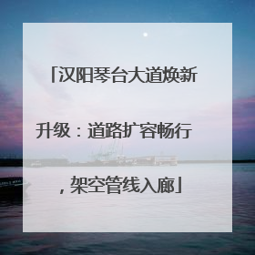 汉阳琴台大道焕新升级：道路扩容畅行，架空管线入廊