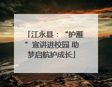 江永县：“护雁”宣讲进校园 助梦启航护成长