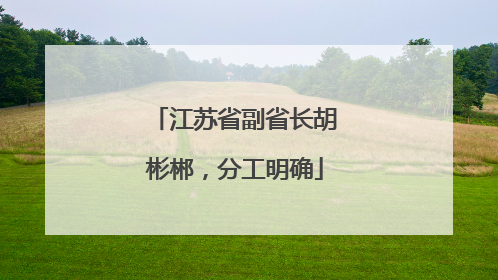 江苏省副省长胡彬郴，分工明确