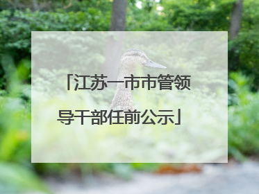 江苏一市市管领导干部任前公示