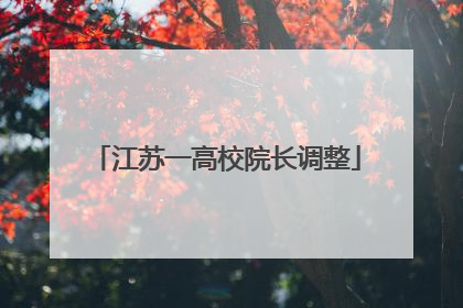 江苏一高校院长调整