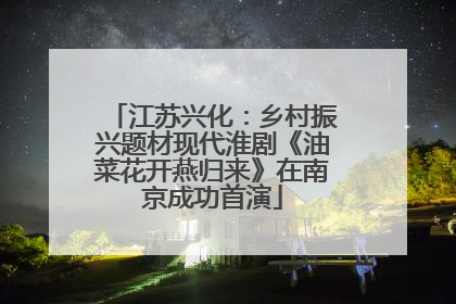 江苏兴化：乡村振兴题材现代淮剧《油菜花开燕归来》在南京成功首演