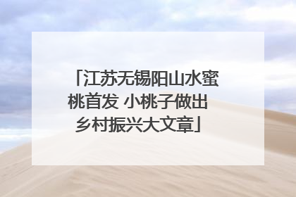 江苏无锡阳山水蜜桃首发 小桃子做出乡村振兴大文章