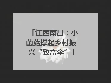 江西南昌：小菌菇撑起乡村振兴“致富伞”