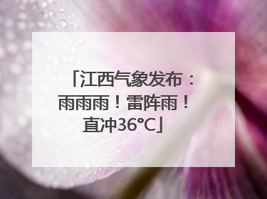 江西气象发布：雨雨雨！雷阵雨！直冲36°C