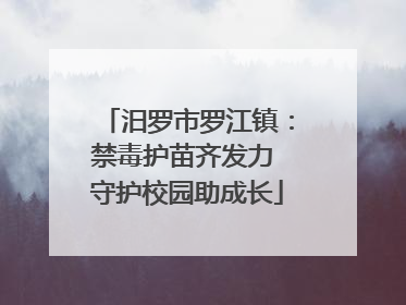 汨罗市罗江镇：禁毒护苗齐发力 守护校园助成长