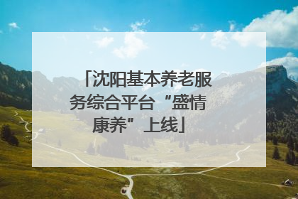 沈阳基本养老服务综合平台“盛情康养”上线
