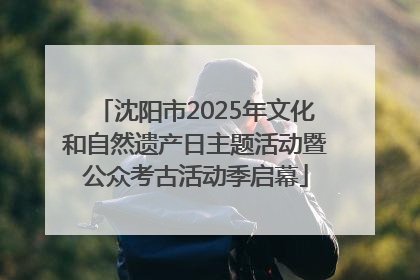 沈阳市2025年文化和自然遗产日主题活动暨公众考古活动季启幕