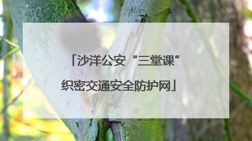 沙洋公安“三堂课”织密交通安全防护网