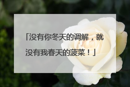 没有你冬天的调解，就没有我春天的菠菜！
