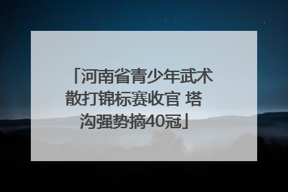 河南省青少年武术散打锦标赛收官 塔沟强势摘40冠