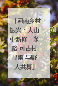 河南乡村振兴：大山中新修一条路 可古村寻幽 与野人共舞