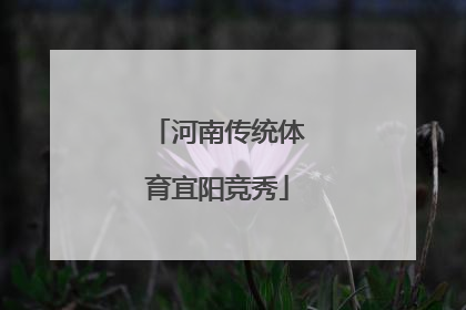 河南传统体育宜阳竞秀