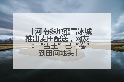 河南多地蜜雪冰城推出麦田配送，网友：“雪王”已“卷”到田间地头
