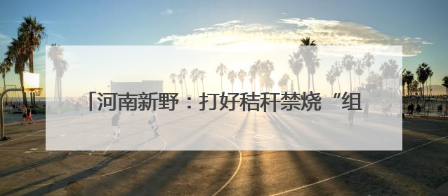 河南新野：打好秸秆禁烧“组合拳” 全力守护蓝天沃土