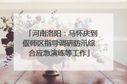 河南洛阳：马怀庆到偃师区指导调研防汛综合应急演练等工作