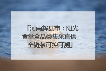河南辉县市：阳光食堂全品类集采直供 全链条可控可溯