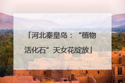 河北秦皇岛：“植物活化石”天女花绽放
