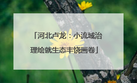 河北卢龙：小流域治理绘就生态丰饶画卷
