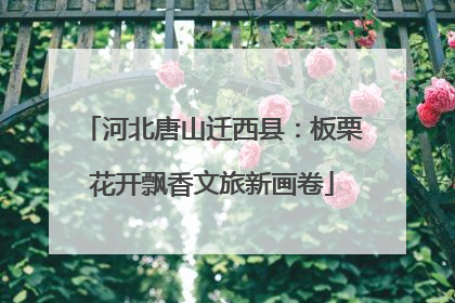 河北唐山迁西县：板栗花开飘香文旅新画卷